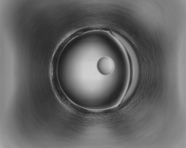 X0000113300726200909211120