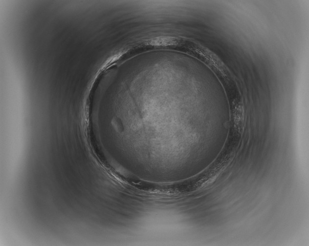 X0000113300727200909211120