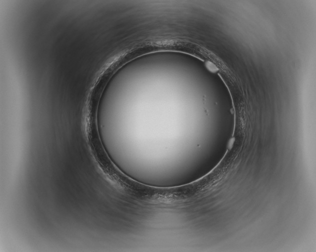 X0000113300728200909211120