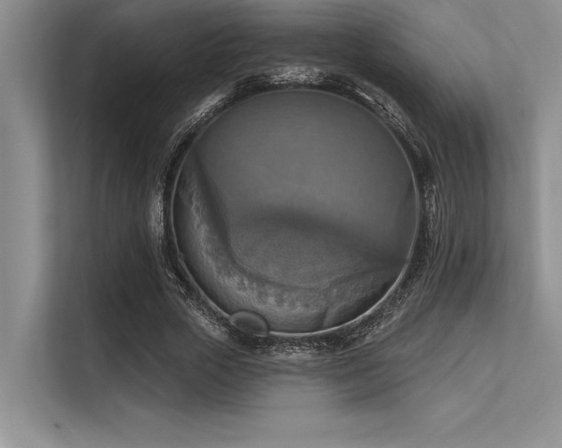 X0000113300729200909211120