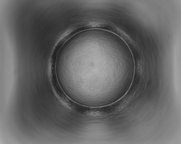 X0000113300730200909211120