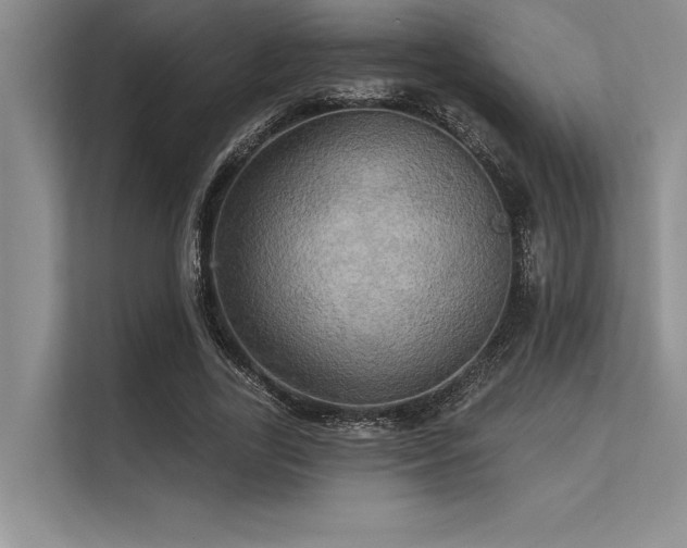 X0000113300731200909211120