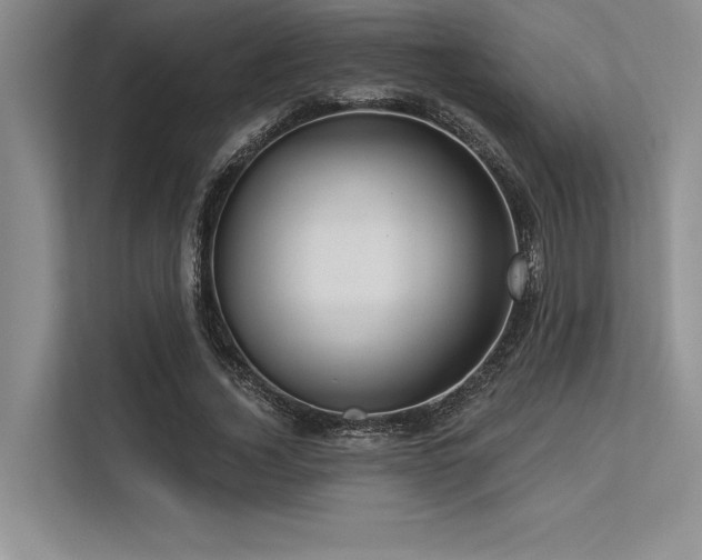 X0000113300732200909211120