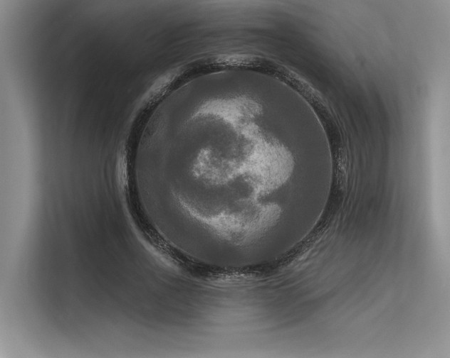 X0000113300734200909211121