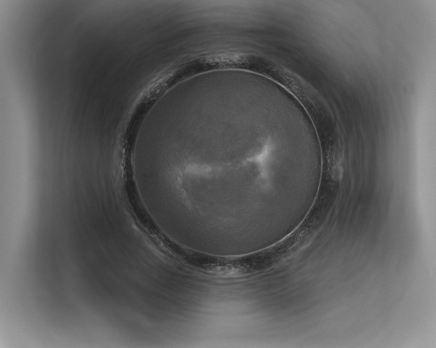 X0000113300735200909211121