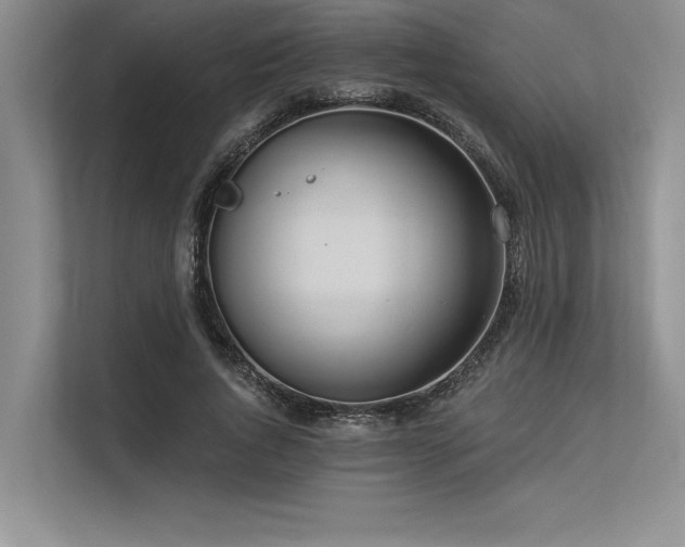 X0000113300736200909211121