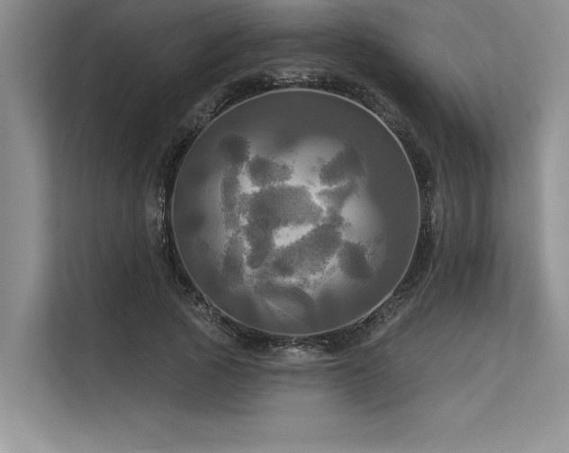 X0000113300737200909211121