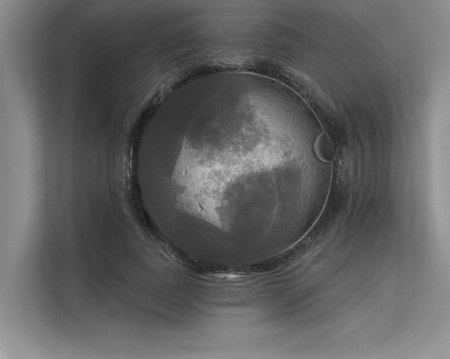 X0000113300739200909211121