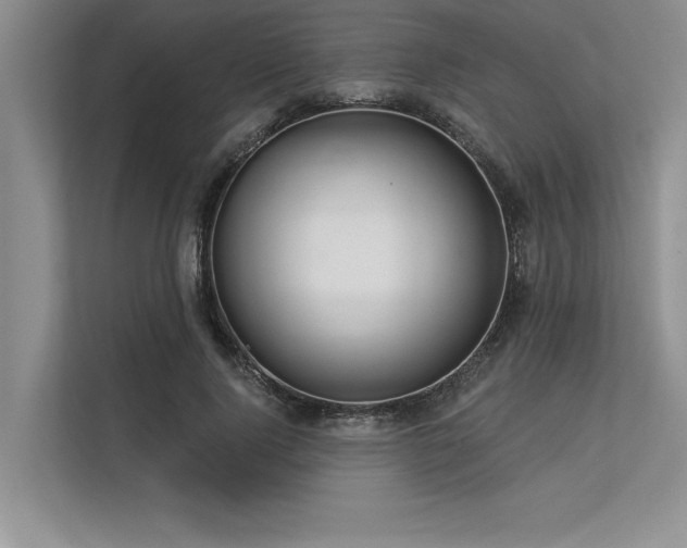 X0000113300740200909211121