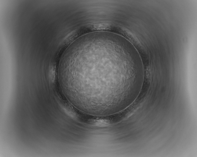 X0000113300741200909211121