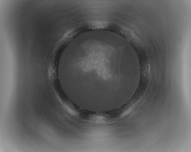 X0000113300743200909211121