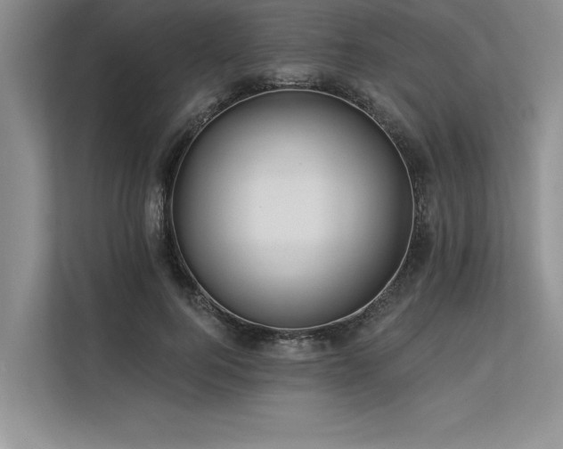 X0000113300744200909211121