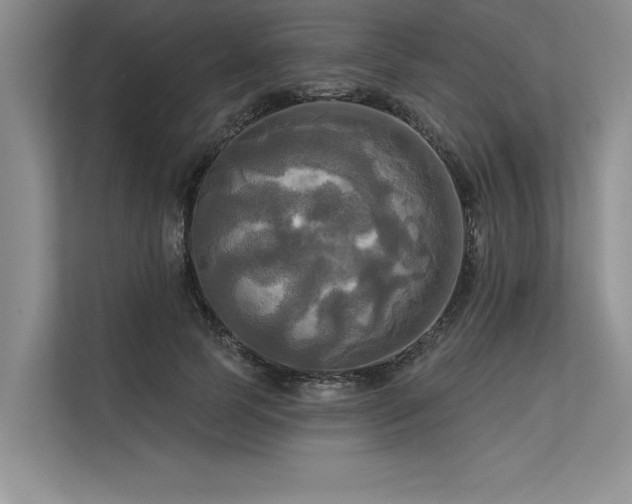 X0000113300745200909211121