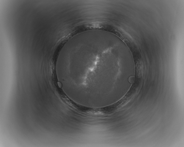 X0000113300747200909211121