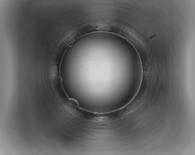 X0000113300748200909211121