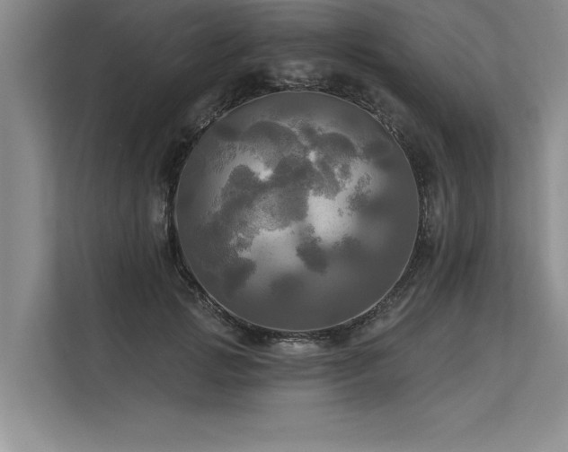 X0000113300749200909211121