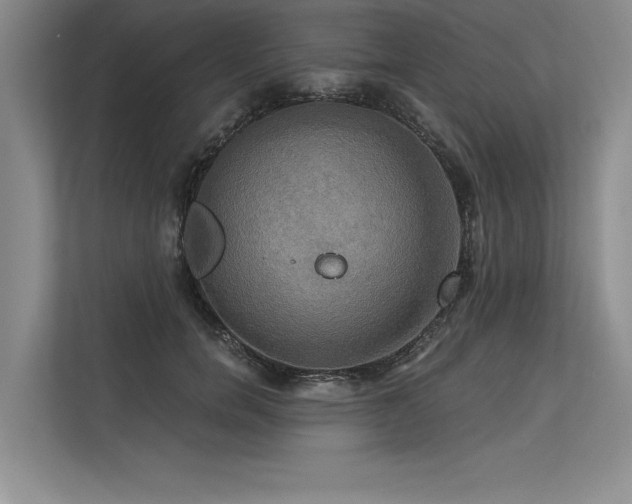 X0000113300750200909211121