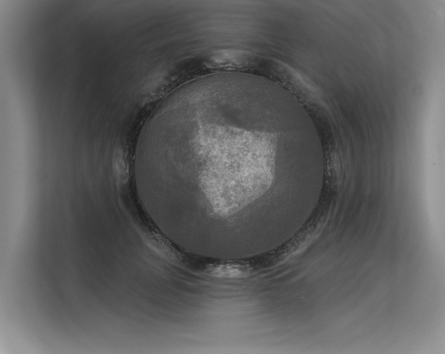 X0000113300751200909211121