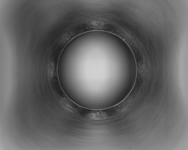 X0000113300752200909211121