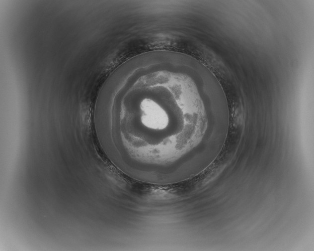 X0000113300753200909211121