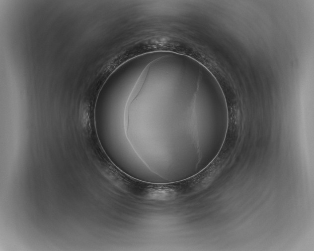 X0000113300754200909211121