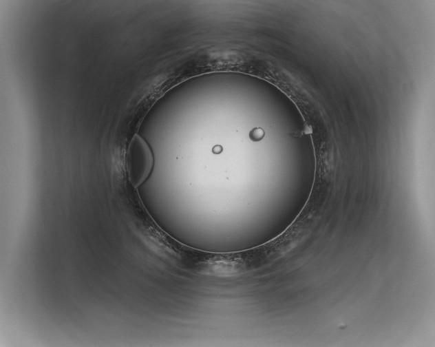 X0000113300756200909211121