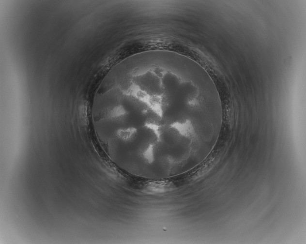 X0000113300757200909211121