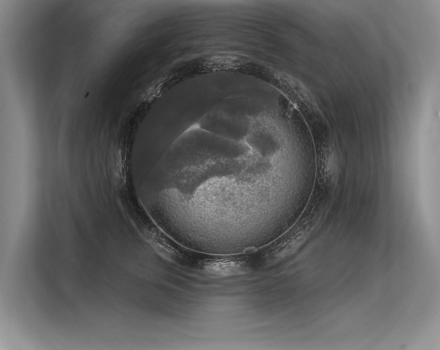 X0000113300759200909211121