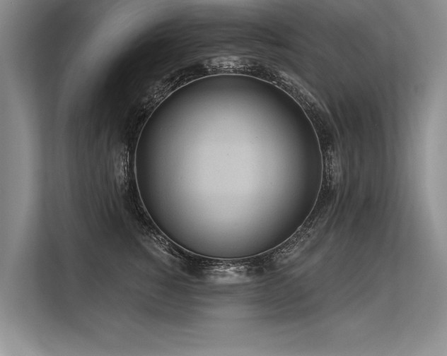 X0000113300760200909211121