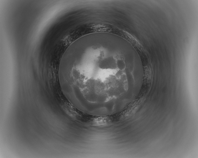 X0000113300761200909211121