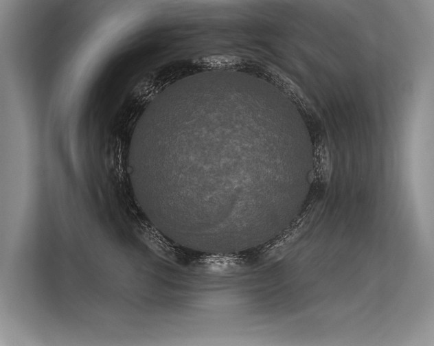 X0000113300762200909211121