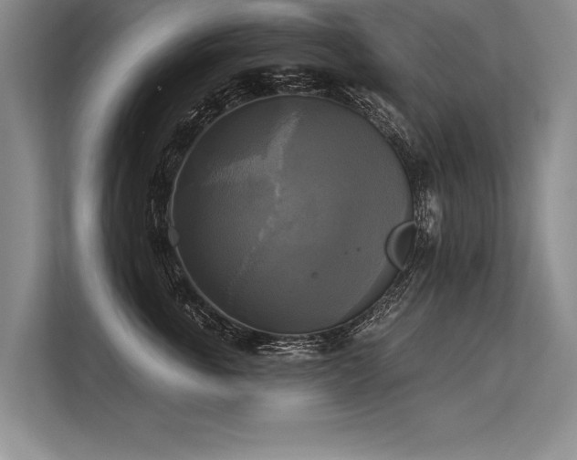 X0000113300763200909211121