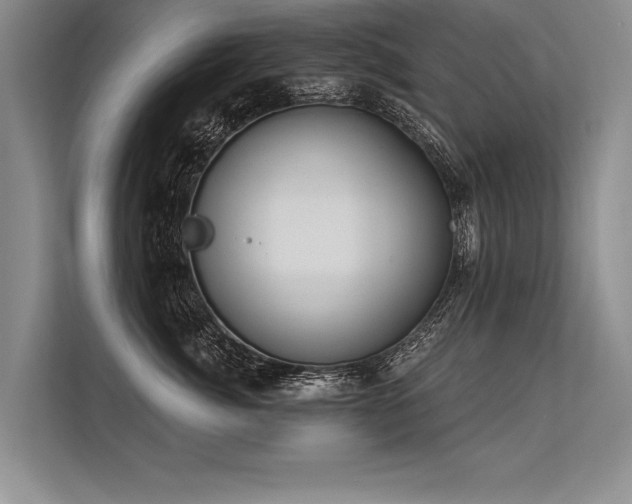 X0000113300764200909211121