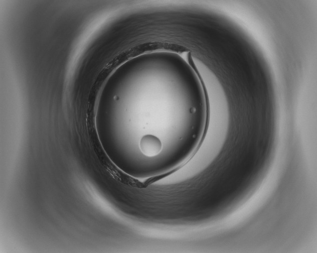 X0000113300766200909211121