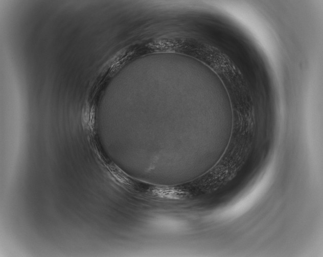 X0000113300767200909211121