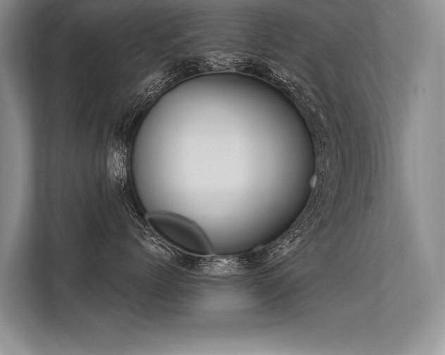 X0000113300768200909211121