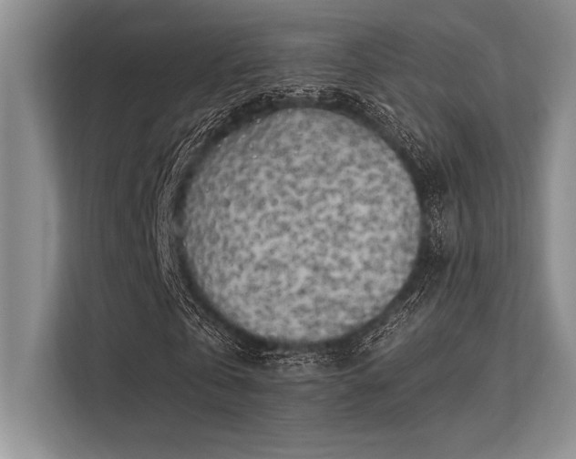 X0000113300769200909211120