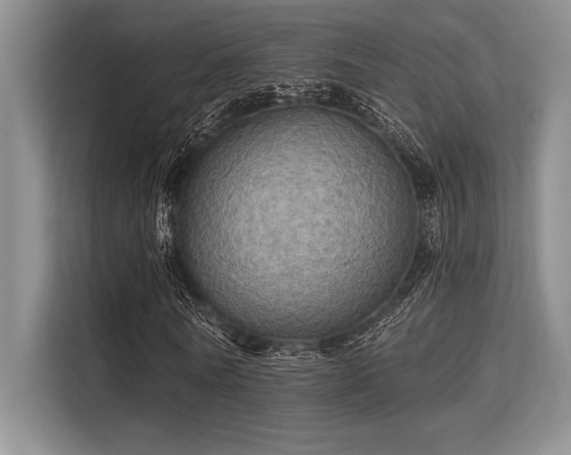 X0000113300770200909211120