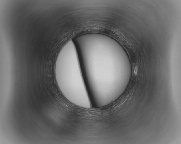 X0000113300771200909211120