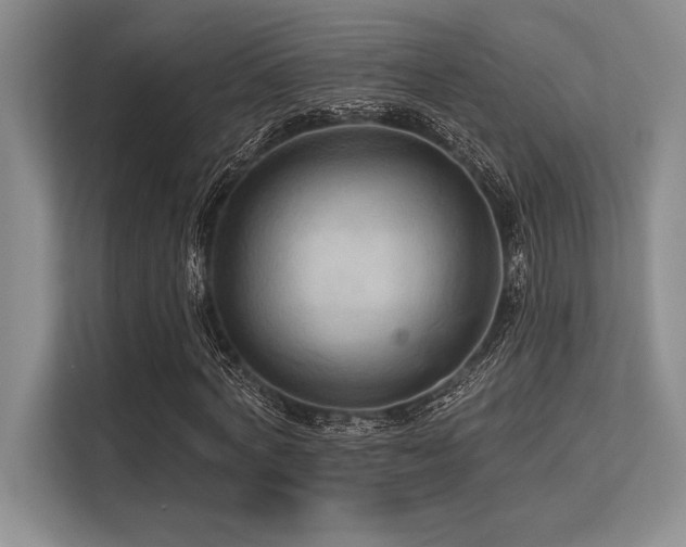 X0000113300772200909211120