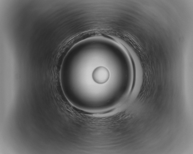 X0000113300773200909211120