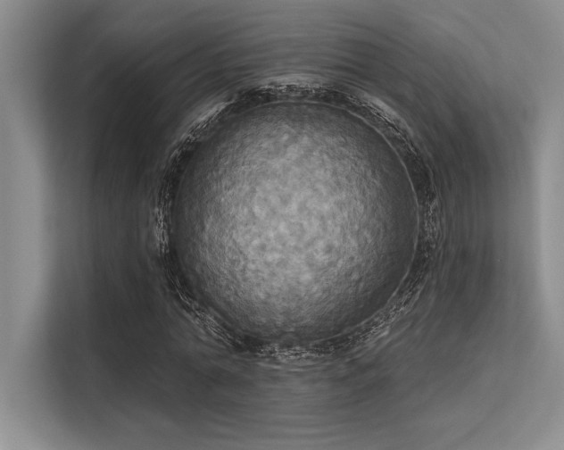 X0000113300774200909211120