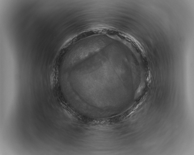 X0000113300775200909211120