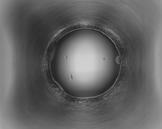 X0000113300776200909211120