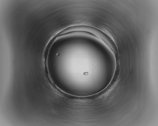 X0000113300781200909211120