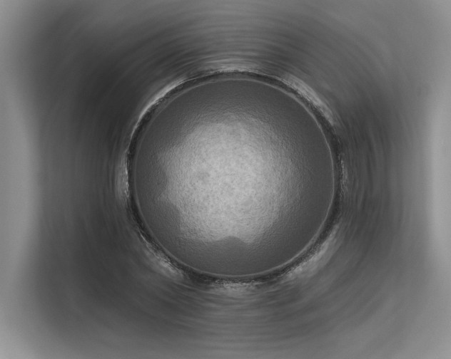 X0000113300782200909211120