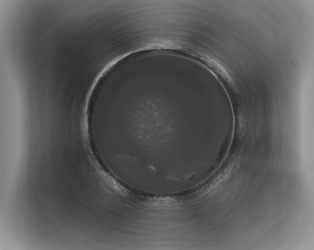 X0000113300784200909211120