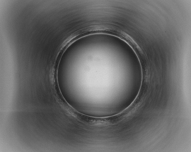 X0000113300786200909211120