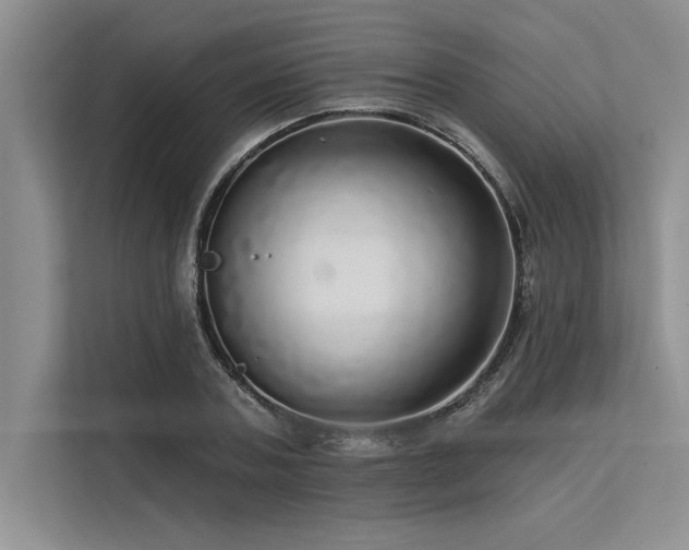 X0000113300787200909211120