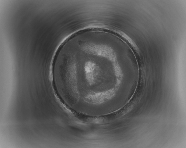 X0000113300791200909211120